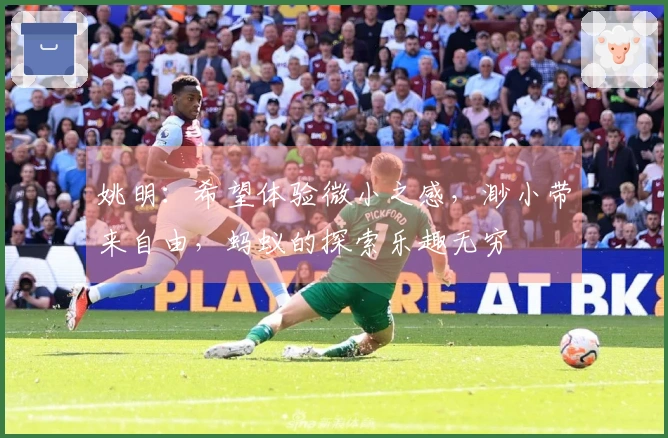 姚明：希望体验微小之感，渺小带来自由，蚂蚁的探索乐趣无穷